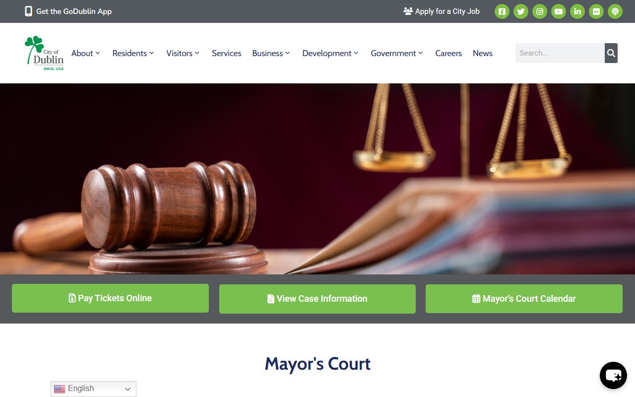 Dublin Mayor's Court online case search for Dublin felony records