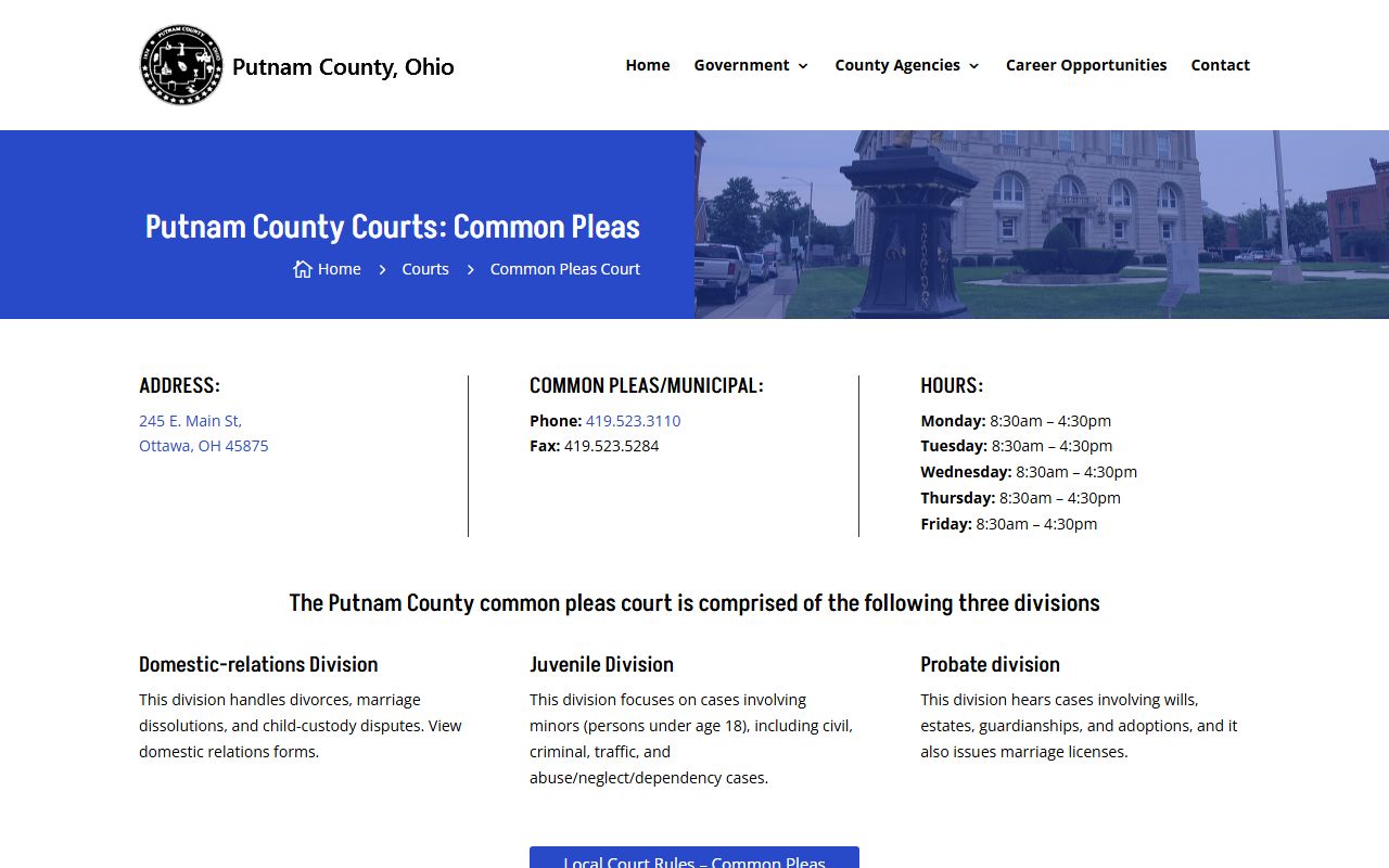 Putnam County Court of Common Pleas felony case records
